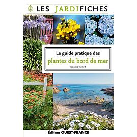 LE GUIDE PRATIQUE DES PLANTES DU BORD DE MER