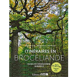 ITINERAIRES EN BROCELIANDE