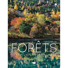 FORETS DES RACINES ET DES HOMMES