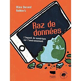 RAZ DE DONNEES