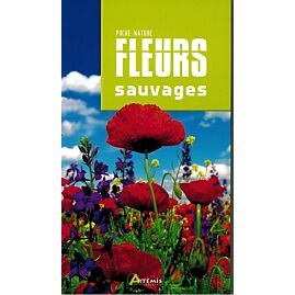 FLEURS SAUVAGES