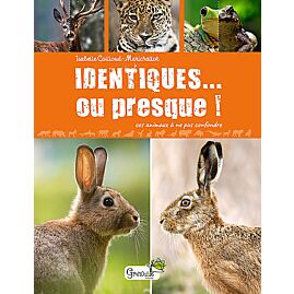 IDENTIQUES OU PRESQUE