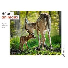 SEMAINIER 2024 BEBES ANIMAUX