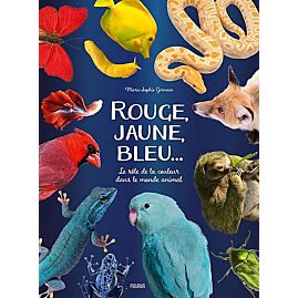 ROUGE JAUNE BLEU