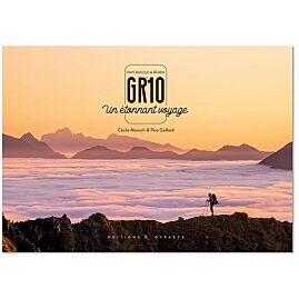GR 10 UN ETONNANT VOYAGE