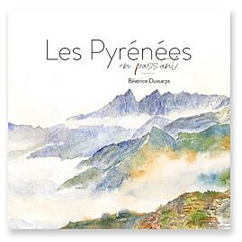 LES PYRENEES EN PASSANT