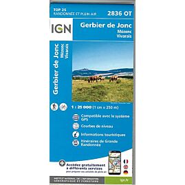 TOP25 2836OT GERBIER DE JONC 1 25 000