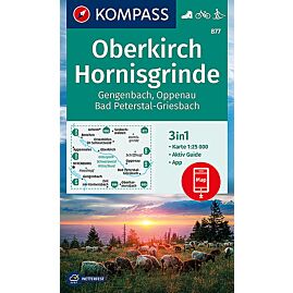 877 OBERKIRCH HORNISGRINDE 1 25 000