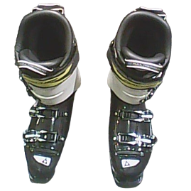 Fischer RC4 120 World Cup Taille 45 (29.5) 