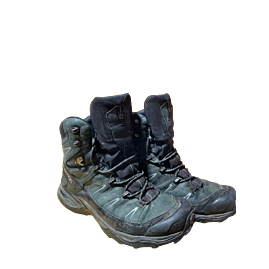 salomon GTX 