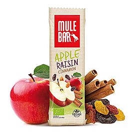 BARRE POMME RAISIN CANNELLE BIO