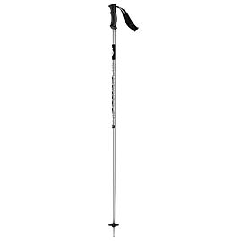 BATONS SKI ELEMENT GREY