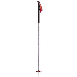 BATONS SKI TOUR POLE