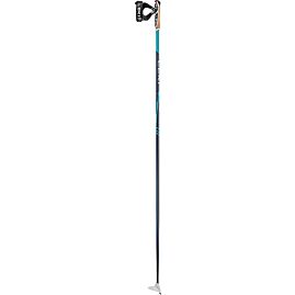 BATONS SKI NORDIQUE CC 450 W