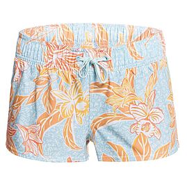 BOARDSHORT ISLAND IN THE SUN 2