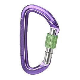 MOUSQUETON SESSION SCREW GATE