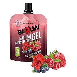 GEL BIO FRUITS ROUGES HIBISCUS