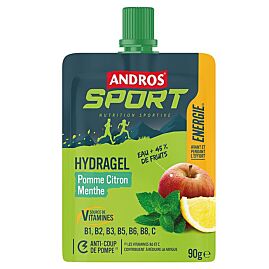 GEL HYDRAGEL POMME CITRON MENTHE