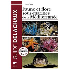 FAUNE FLORE SOUS MARINE MEDITERRANEE