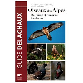 OISEAUX DES ALPES