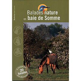 BALADES NATURE EN BAIE DE SOMME