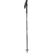 BATONS SKI MAESTRO
