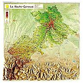 D31 LA HAUTE GARONNE 31CM X 31CM