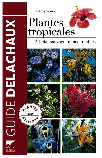 PLANTES TROPICALES