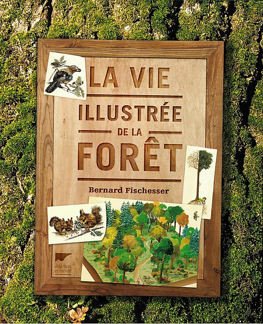 LA VIE ILLUSTREE DE LA FORET