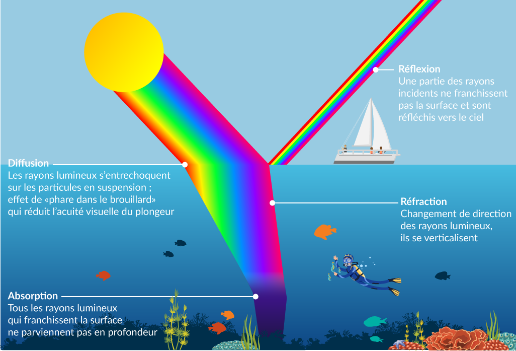 L’éclairage en plongée