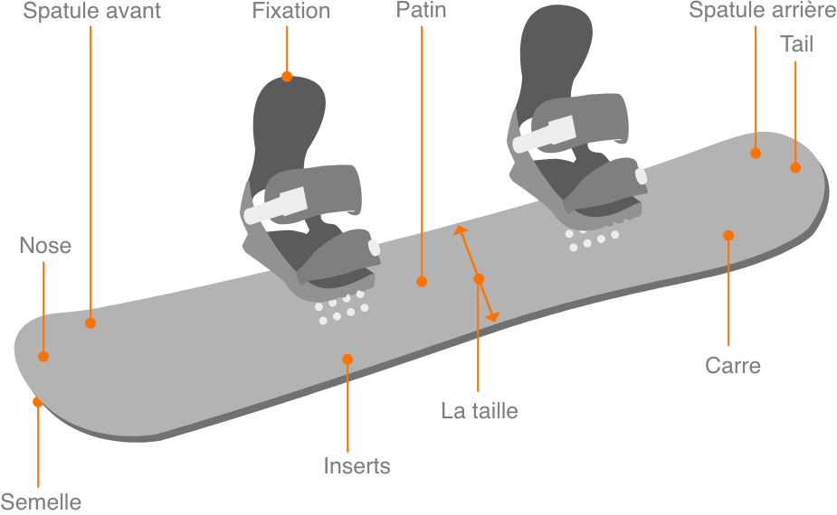 Anatomie d'une planche de snowboard