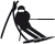 Ski Racing géant