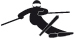 Ski Racing slalom
