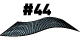 Cell 44